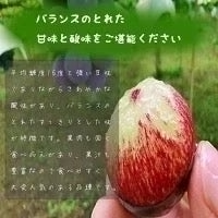 【9月上旬順次発送】送料無料 岡山産 ピオーネ 2キロ 訳あり 3-5房入 ぶどう プレゼント お祝い ギフト