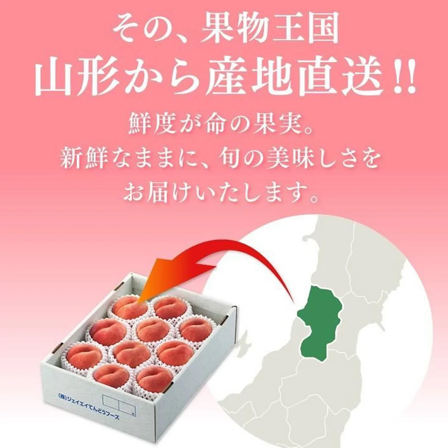 【順次出荷中！】 ご自宅用 訳あり 桃 白桃 約2kg 山形県産 旬の品種を厳選セレクト pc05