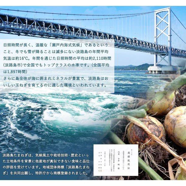 淡路島 たまねぎスープ 30包 送料無料 食品 お試し オニオン 玉ねぎ タマネギ スープ 調味料