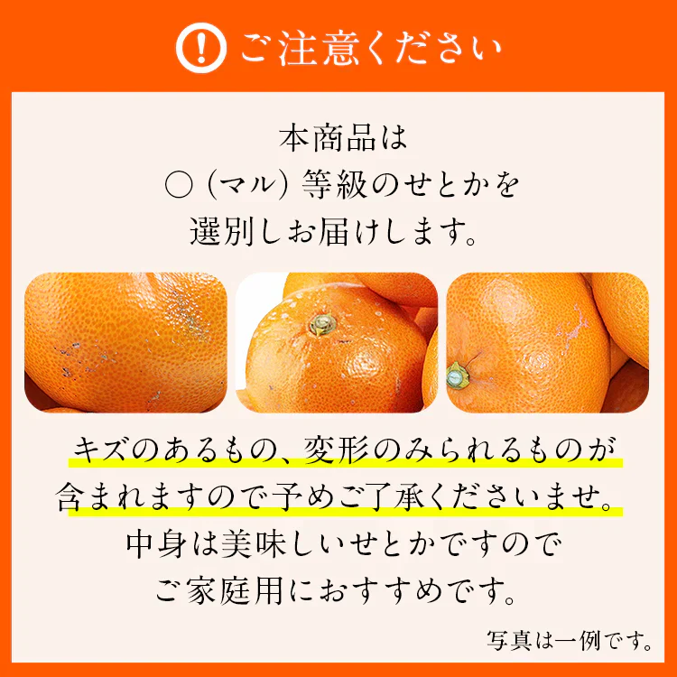 せとか みかん 5kg 愛媛県産 柑橘の大トロ kdm-090