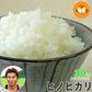新米 滋賀県彦根産 ヒノヒカリ 白米 27kg 令和6年産 西村悟 環境こだわり農産物