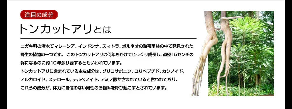 タフコンフィデンス《約3ヶ月分》みなぎるパワー系素材13種類配合！　ネコポス送料無料　トンカットアリ/マカ/スッポン/赤マムシ/亜鉛/タフコン/TOUGH CONFIDENCE