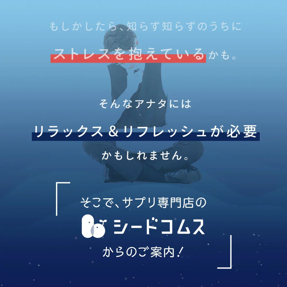GABA《約12ヶ月分》ジョーンズワート クワンソウ 亜麻仁油 発酵紅参 イワシ抽出ペプチド 健康 サプリ サプリメント 休息 ストレス イライラ ギャバ【大容量】
