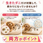 ダニサルWパワーシート　ペット用　　/犬/猫/ペットベット/小動物/ハムスター/鳥/ウサギ/ダニ対策/メーカー直販/ダニ捕り/捕獲シート/ダニよけ/防ダニ　無臭