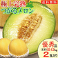【冷蔵便】青森県産 つがるメロン 2玉(優～秀品 1玉約1.0kg～1.2kg×2玉入り)