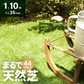 フレッシュグリーン 人工芝 ロール 1m×10m 芝丈35mm 送料無料 人工芝 芝生マット 人工芝生 人工芝マット 人工芝ロール 芝生 ロールタイプ 固定ピン 庭　　　　　 ベランダ テラス バルコニー ガーデニング ガーデン