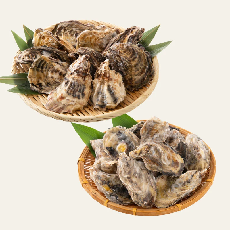 2L、Mサイズが選べる　カキ 牡蠣 かき 生食用 殻付き 1kg　Mサイズ（14～16個）　冷凍 ［送料無料］ 生牡蠣 生食 美味しい 冷凍牡蠣 生ガキ 生食用カキ お取り寄せ 殻付き牡蠣 高鮮度 贈り物 お取り寄せグルメ 贈答用