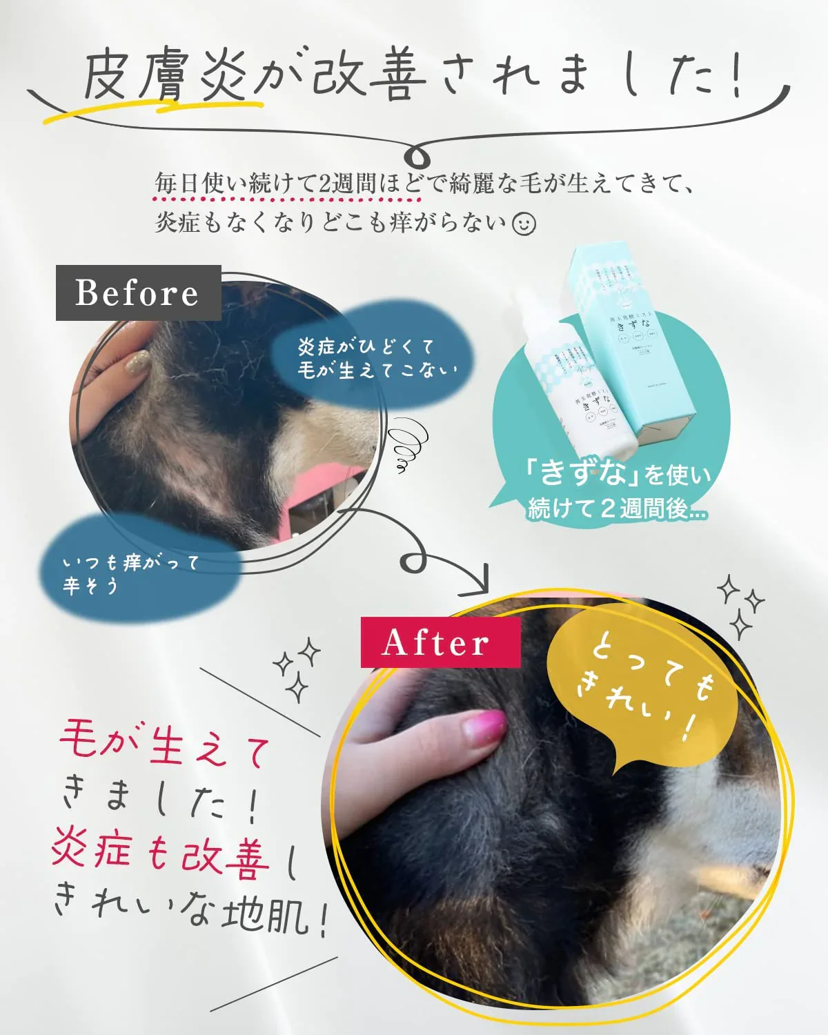 善玉菌発酵ミスト「きずな」 150ml　ペット用ヘア・スキンケアスプレー　皮膚炎やグルーミングに 乳酸菌ローション 日本製 ノンアルコール 無添加 天然由来成分