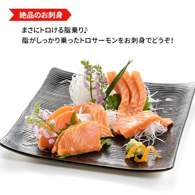 刺身用トロサーモン 半身約800g 送料無料