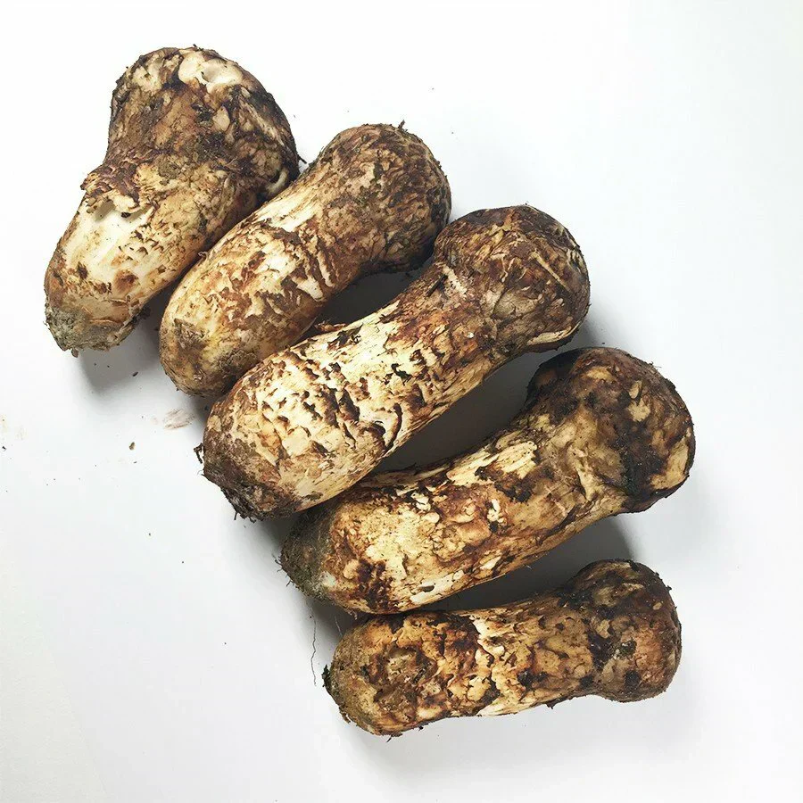 松茸(まつたけ) 中国産 約100グラム程度