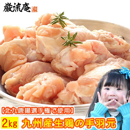 【九州産】生鶏手羽元２kg