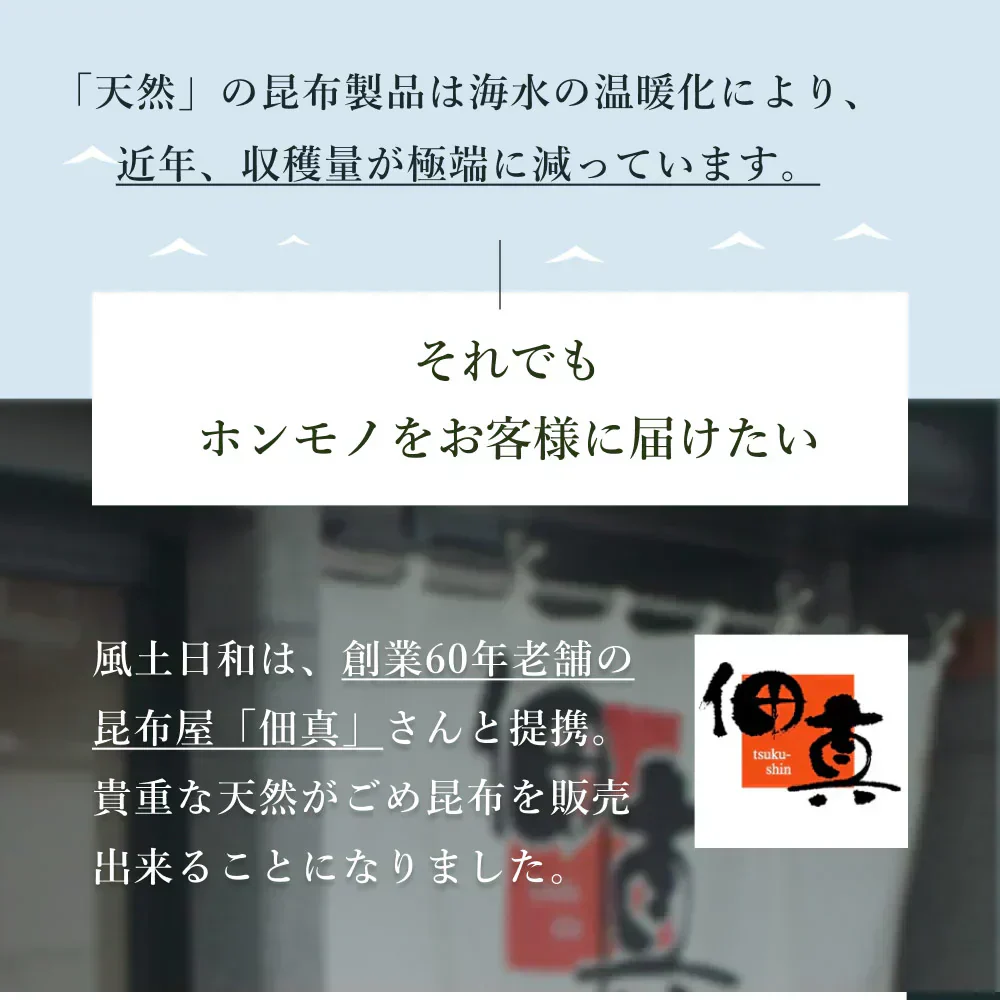 風土日和 がごめ昆布 天然 細切り 昆布 北海道道南黒口浜産 40g 賞味期限：2026年5月2日 カウシェ限定 ｜ オーガライ