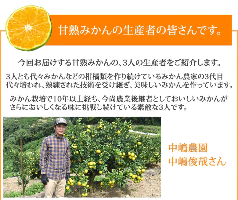 【10月上旬～中旬頃より順次出荷】みかん 10kg 熊本みかん 送料無料 秀品 2S〜L 熊本県産 極早生みかん お取り寄せ 蜜柑 ミカン