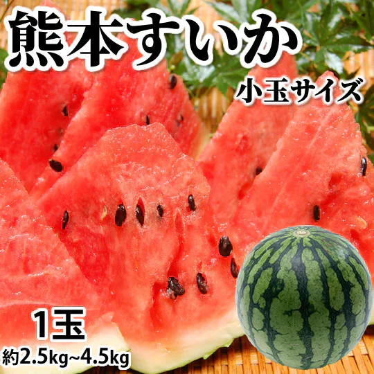 すいか 送料無料 スイカ 訳あり 熊本すいか 1玉 約2.5kg〜4.5kg 小玉サイズ 2S〜M 熊本県産 西瓜 フルーツ