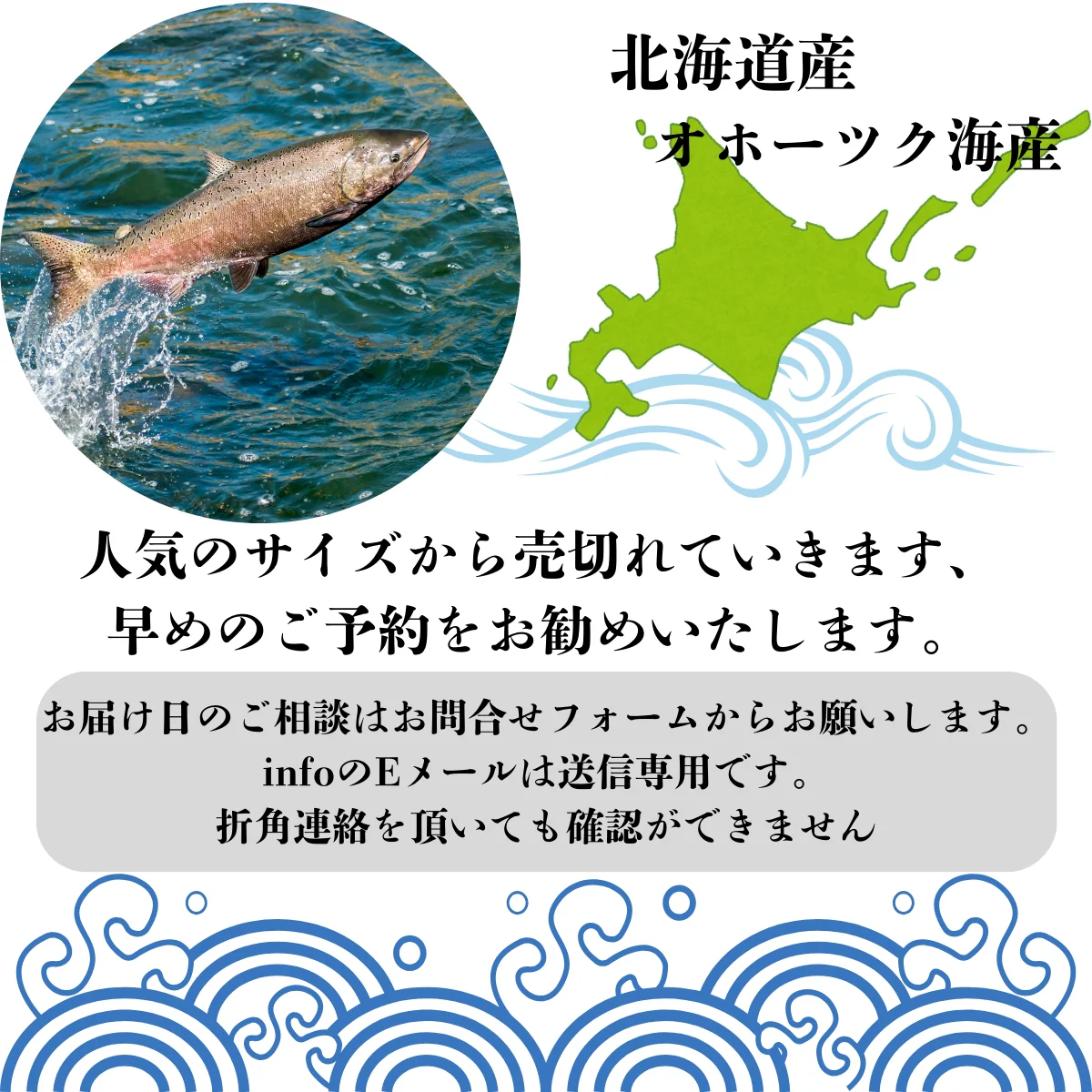 北海道産新巻鮭Lサイズ約2,5kg～2,99kg