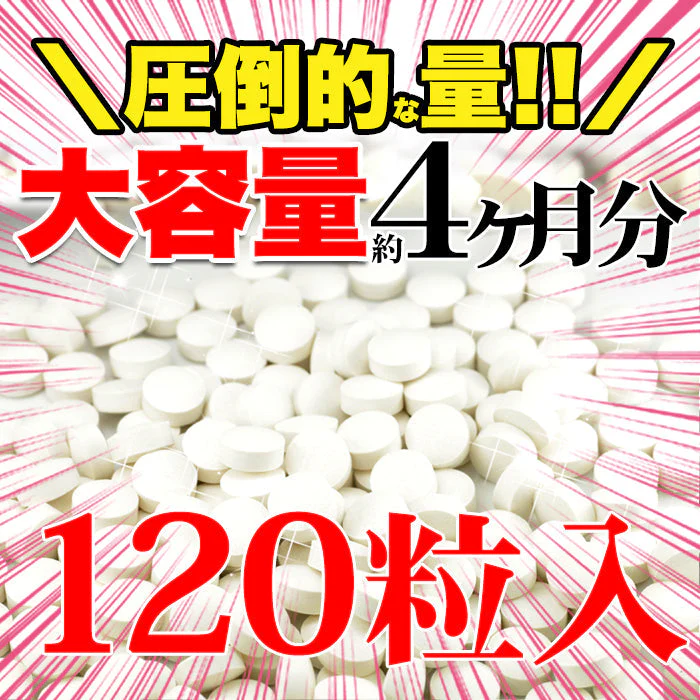 メガ盛り★プロテオグリカン約4ヵ月分ゆうパケット