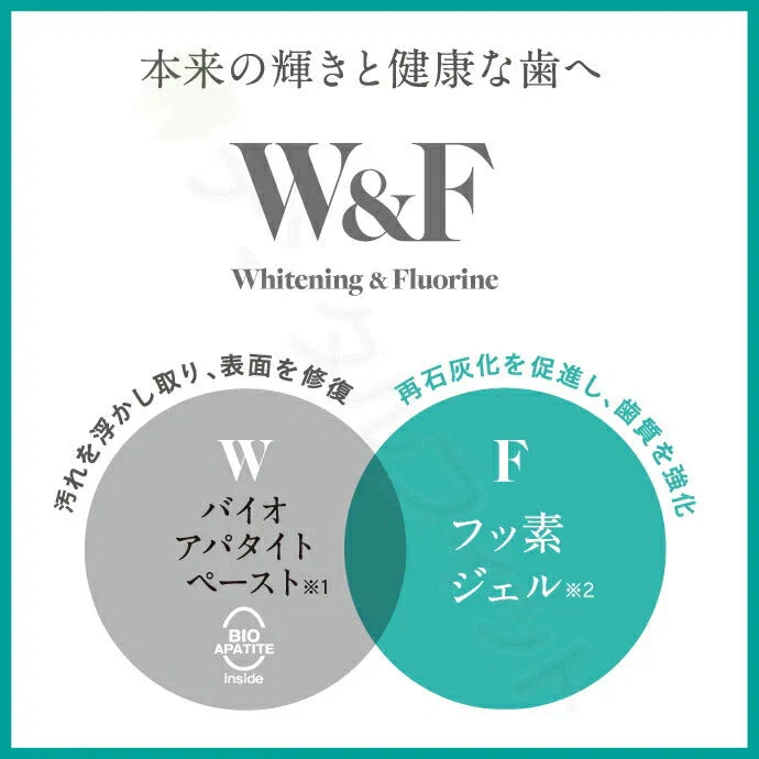 W & F 薬用ハミガキ CA-a [ホワイトニングペーストa] シトラスミント 単品 1本(50g) バイオアパタイト配合 歯磨き粉 ホワイトニング 日本製【メール便送料無料】