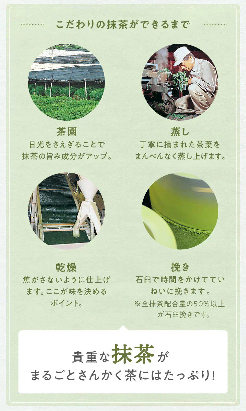 まるごとさんかく茶ポット用　８個入( 冷茶 もおすすめ 玄米茶 抹茶入り玄米茶 ティーバッグ ティーパック 緑茶 抹茶 煎茶 玄米 煎り米 静岡県産 静岡茶 日本茶 丸ごと 三角茶 深蒸し茶 来客用 )【カウシェファーム収穫対象商品】