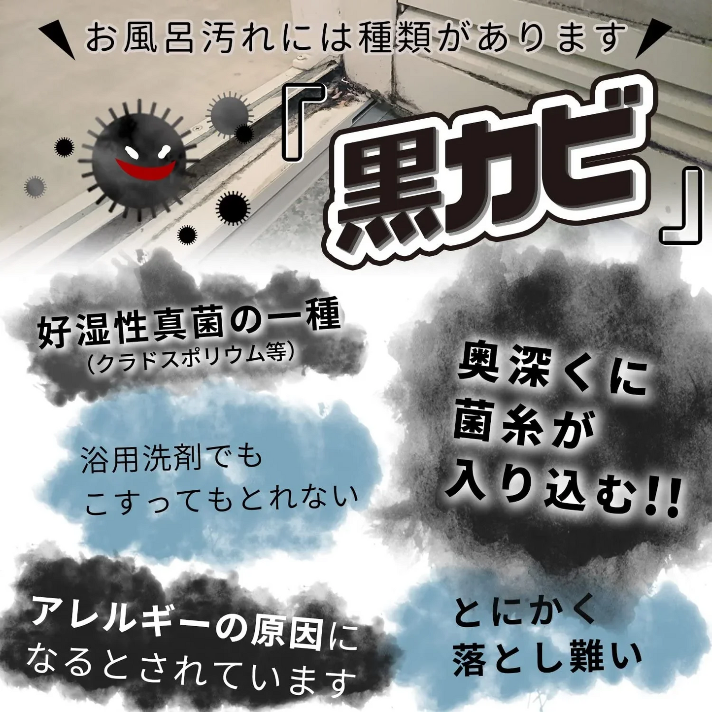 黒カビくん目地研磨ブラシ カビ 黒カビ 激落ちくん 目地 研磨ブラシ 【激落ち 2WAY 研磨粒子 研磨】
