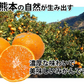【10月上旬～中旬頃より順次出荷】みかん 10kg 送料無料 訳あり 箱込（内容量9kg＋補償分500g) 無選別 熊本みかん 極早生みかん 早生みかん 温州みかん蜜柑 ミカン