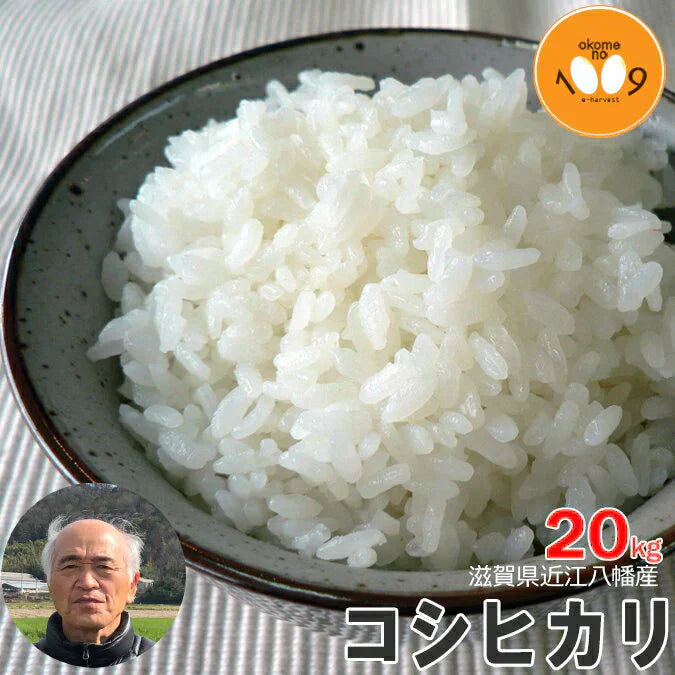 米 滋賀県近江八幡産 コシヒカリ 玄米 20kg 令和7年産 内野営農組合 環境こだわり農産物