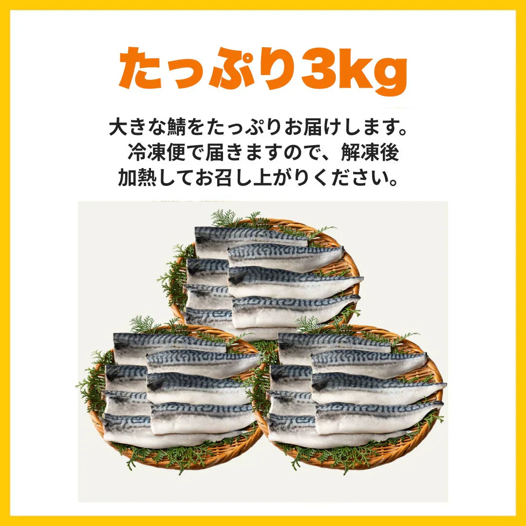 さば 無添加 無塩 トロさば サバ 鯖 約3kg(18〜24尾）トロ鯖 海鮮 天然 美味しい 魚 魚介 海産物 おかず おつまみ 乾き物 酒の肴 贈り物 お取り寄せグルメ 食べ物 おいしい 絶品