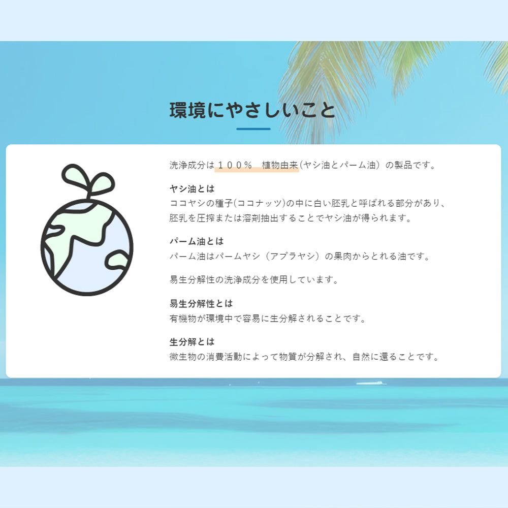 多目的洗剤 ココナツ 4L 肌と自然環境にやさしいオーガニック洗剤「ココナツ洗剤」