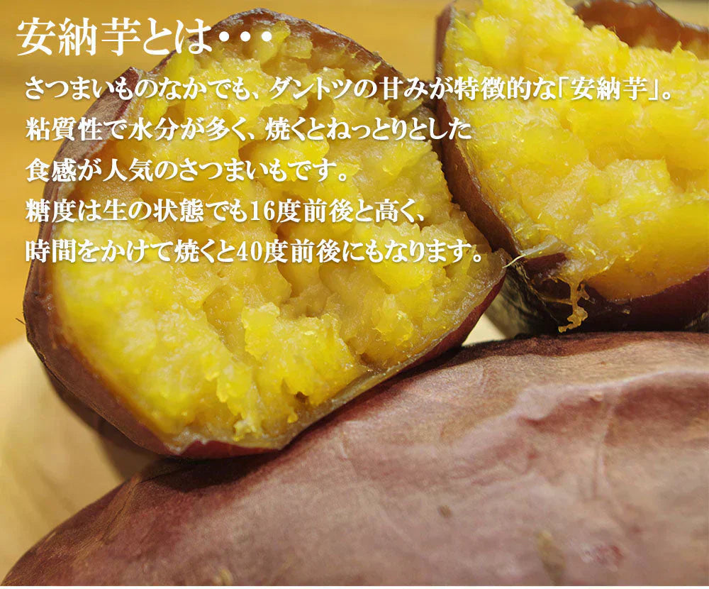 安納芋 5kg 安納いも 安納イモ 産地直送 産直 土付き さつまいも さつま芋 薩摩芋 焼きいも 焼き芋 鹿児島県産 FJK-002