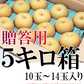 福島県産　梨　なし　5kg箱　★秀品★品種おまかせ