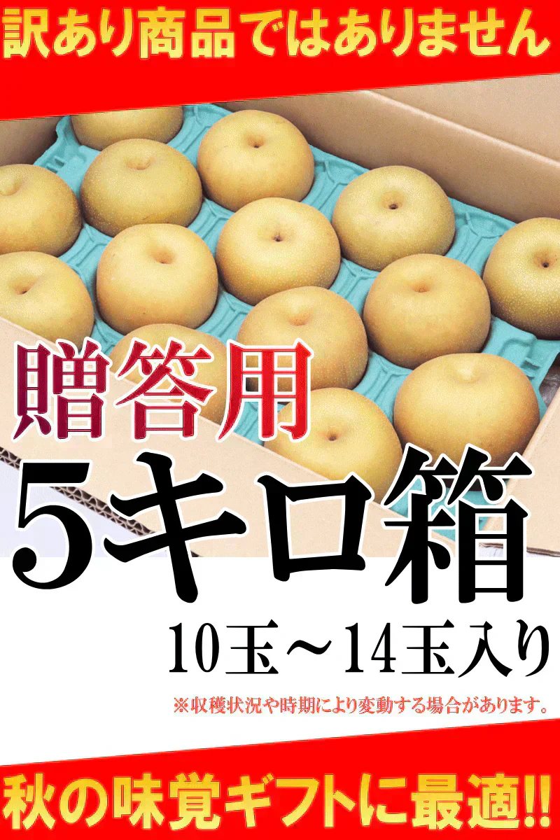 福島県産　梨　なし　5kg箱　★秀品★品種おまかせ