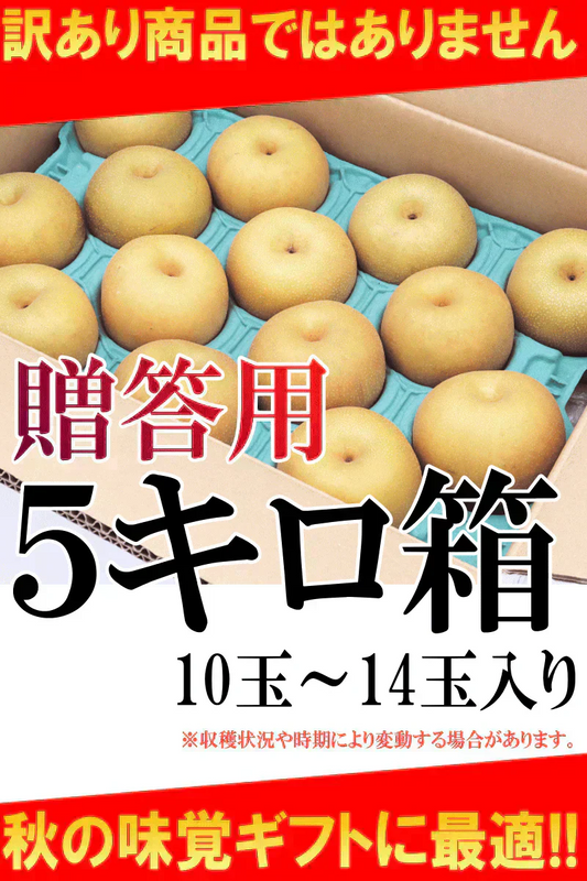 福島県産　梨　なし　5kg箱　★秀品★品種おまかせ