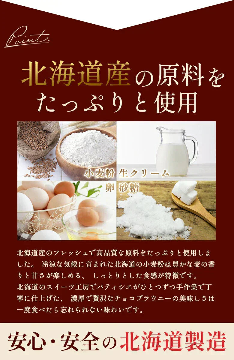 .濃厚ショコラブラウニー5個.【DS08】