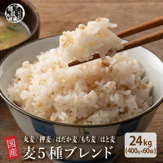 雑穀 雑穀米 国産 麦５種ブレンド 24kg(400g×60袋) [丸麦/押麦/はだか麦/もち麦/はと麦] 無添加 無着色 業務用サイズ 送料無料