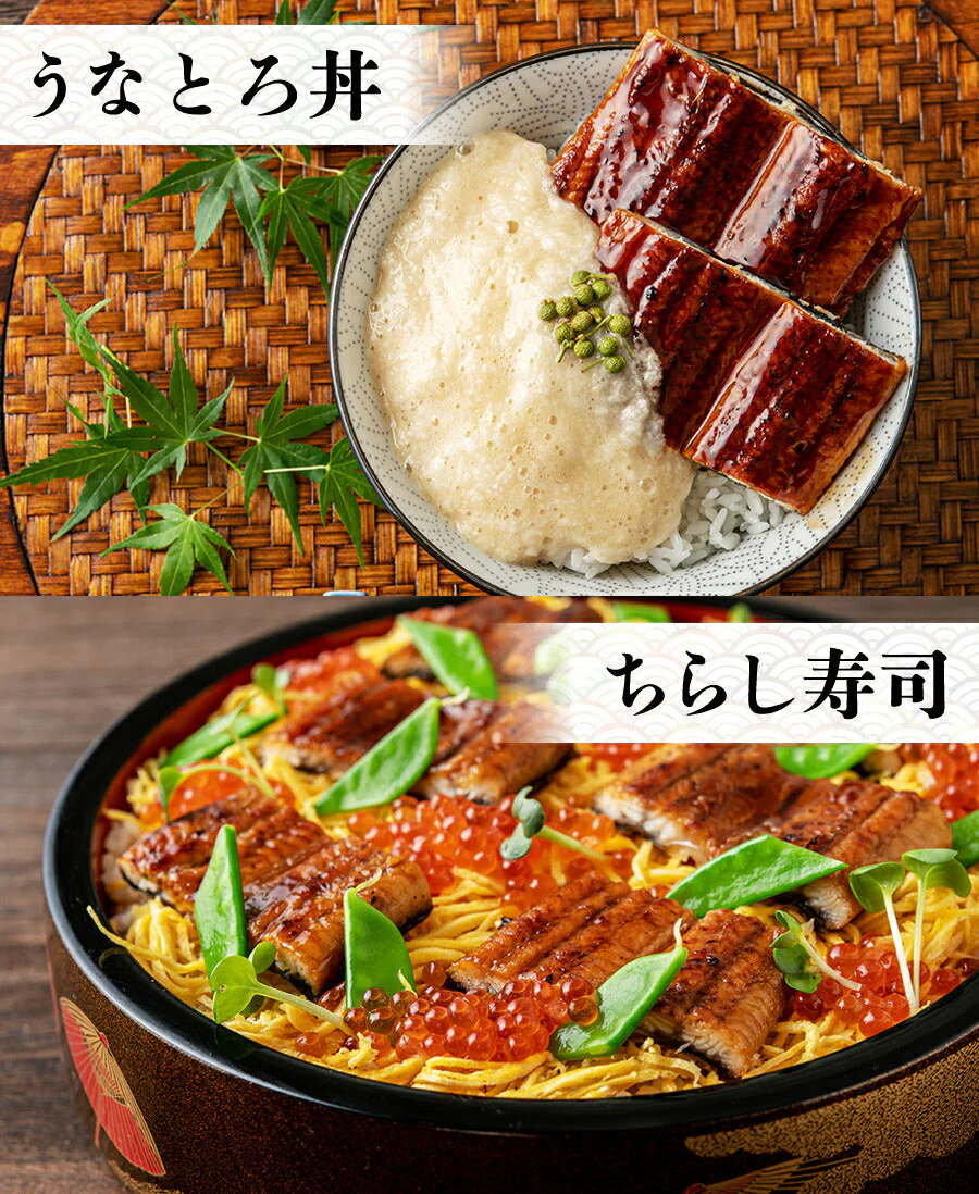 国産うなぎ袋詰め 約950g 鰻 宮崎県産 ( 鰻 うなぎ ウナギ 蒲焼 かば焼き 土用丑 土用 丑の日 スタミナ 夏) 冷凍便 お取り寄せグルメ 食品 ギフト