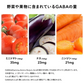 血圧 睡眠 ストレス GABA《約1ヶ月分》 機能性表示食品 GABA1粒100mg配合 テアニン トリプトファン グリシン