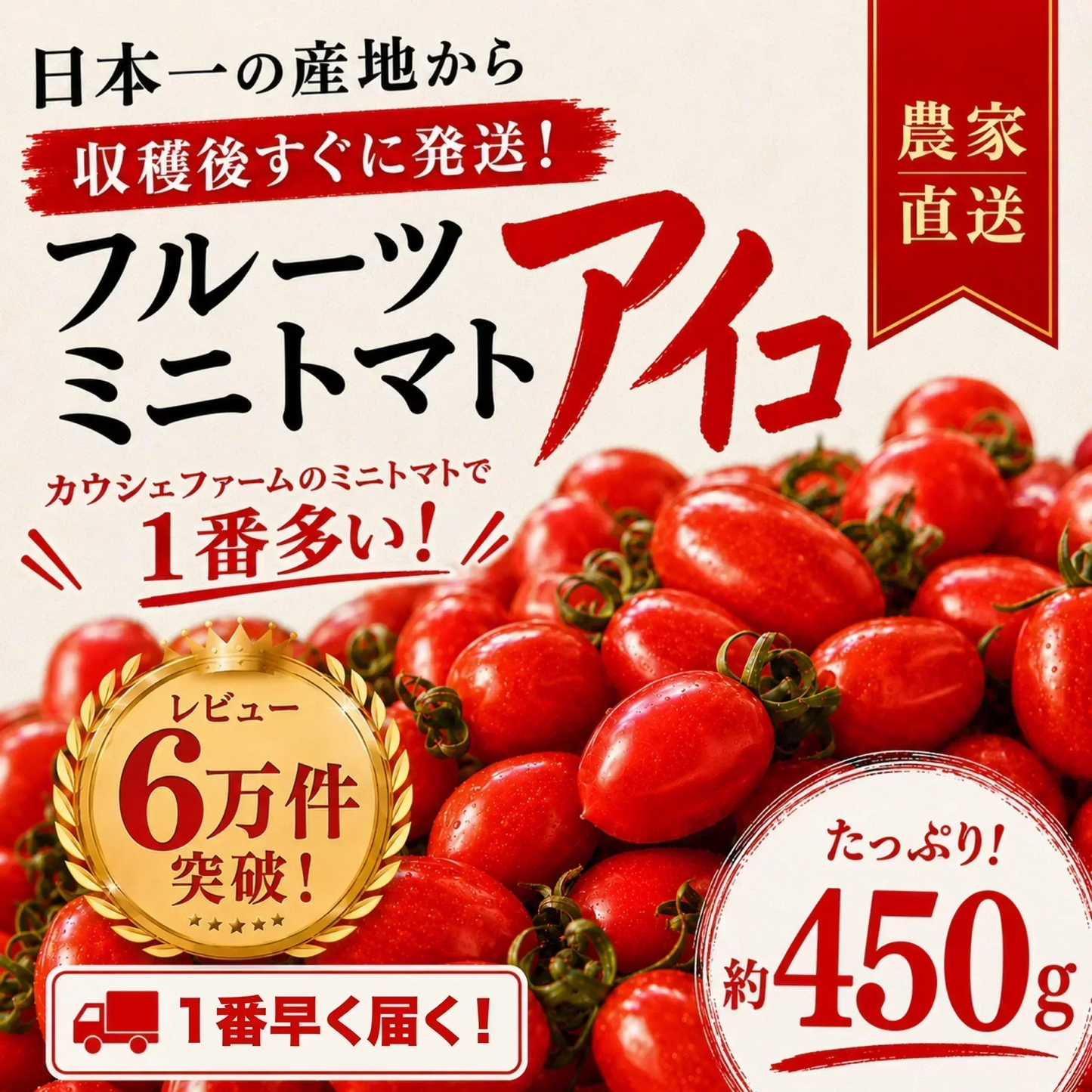 【１番早く届く！】【10月中旬頃〜12月末日までに発送】【予約】１番多い約450g！アイコ ミニトマト(280~300g+保証分150g)日本一の産地から農家直送 熊本県産 野菜 青果 フルーツ【カウシェファーム収穫対象商品】