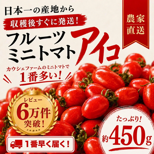 【１番早く届く！】【10月中旬頃〜12月末日までに発送】【予約】１番多い約450g！アイコ ミニトマト(280~300g+保証分150g)日本一の産地から農家直送 熊本県産 野菜 青果 フルーツ【カウシェファーム収穫対象商品】