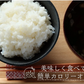 【3人シェア買いでお得】【100ｇ×72パック】72袋 ライスこんにゃく　国産
