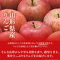 【11gatu 】りんご 訳あり 山形県産 約10kg(玉数おまかせ) 送料無料 品種おまかせ バラ詰め ※一部地域は別途送料追加 フルーツ 果物 果物 順次発送 ap13