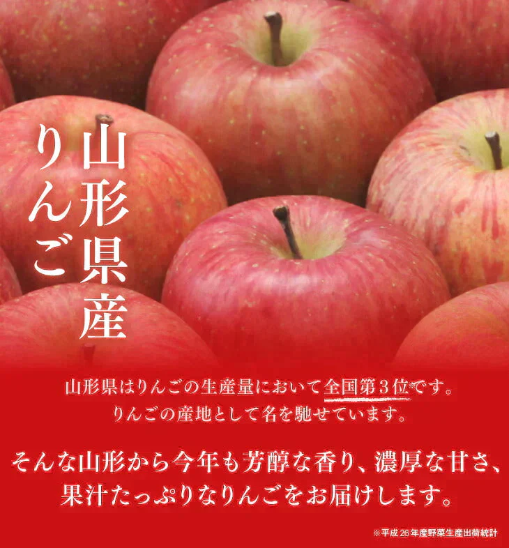 【11gatu 】りんご 訳あり 山形県産 約10kg(玉数おまかせ) 送料無料 品種おまかせ バラ詰め ※一部地域は別途送料追加 フルーツ 果物 果物 順次発送 ap13
