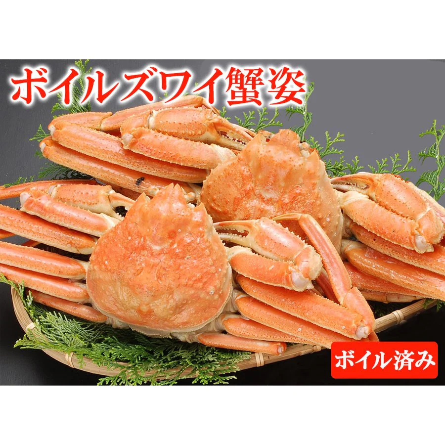 ズワイガニ姿 2尾 ズワイガニ姿ボイル ボイルズワイガニ姿 1.5kg ズワイガニ ずわい蟹 カニ姿 蟹姿 蟹 カニ かに 年末年始 メーカー直送　shr-012
