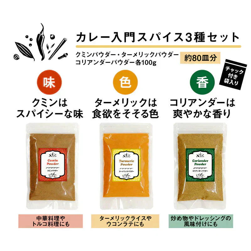 【 レシピ付】カレー 入門 スパイス 3種 セット 100g  大容量 チャック袋入 スパイス スパイスカレー おうちカレー 手作りカレー 送料込み お得 人気 お試し お試しセット