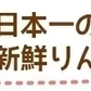 【予約受付中】青森県産  葉とらずシナノゴールド 訳あり品 約5kg ※11月下旬頃から予約順発送※