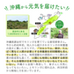 沖縄県産　モリンガ《約1ヶ月分》 モリンガ 粒 150粒 無農薬栽培 着色料 保存料 不使用
