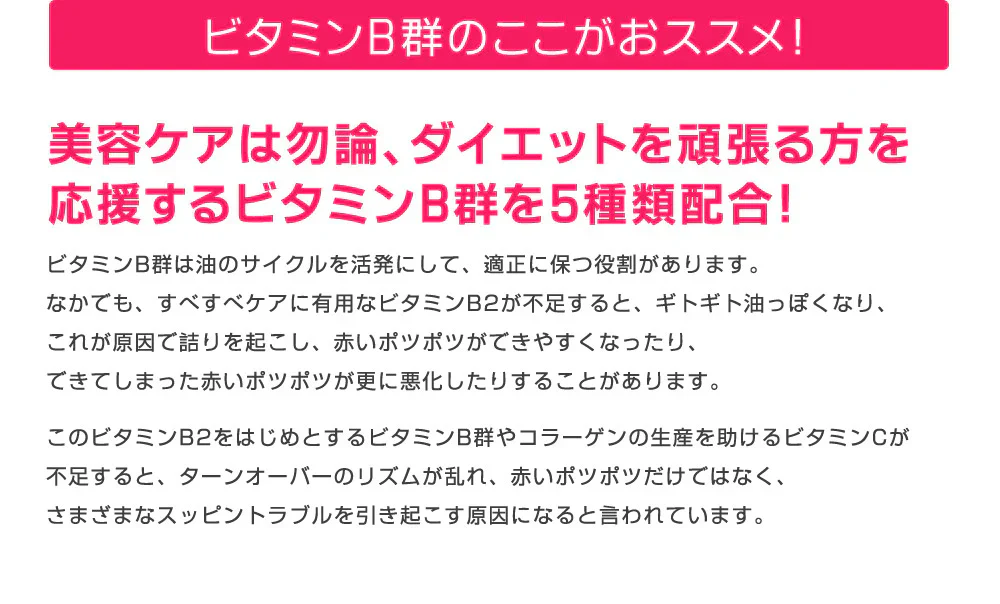 ビタミンB群《約1ヶ月分》チアミン硝酸塩/リボフラビン/ナイアシン/ニコチン酸アミド/ピリドキシン塩酸塩
