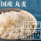 雑穀 雑穀米 国産 丸麦 4kg(400g×10袋) 徳用サイズ 無添加 無着色 送料無料