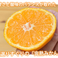大玉みかん 5kg 2L～4L 秀品 金峯 青島 みかん 送料無料 温州みかん 熊本県産 蜜柑 ミカン フルーツ