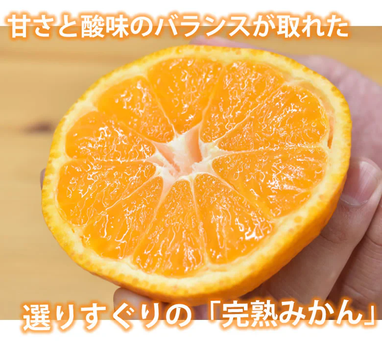 大玉みかん 5kg 2L～4L 秀品 金峯 青島 みかん 送料無料 温州みかん 熊本県産 蜜柑 ミカン フルーツ