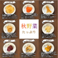【150g】7種類の根菜とお芋チップス 秋野菜チップス 野菜スナック