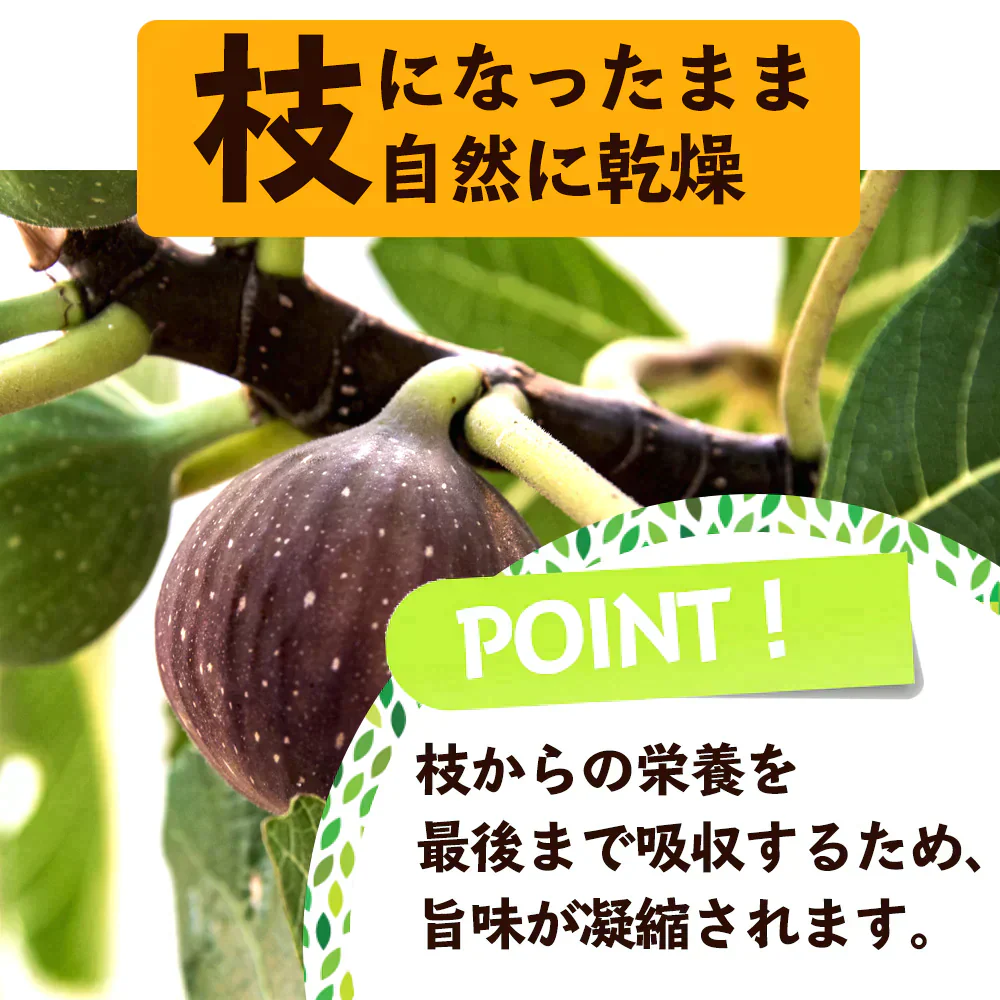 訳あり 割れいちじく 850g 【 いちじく ドライフルーツ 無添加 フルーツ 製菓 製パン 健康 おやつ 大容量 特価品 砂糖不使用 農薬不使用】K